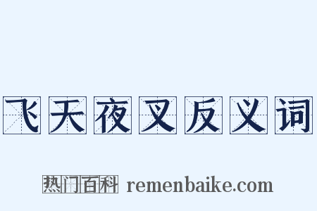 飞天夜叉反义词是什么意思的图片